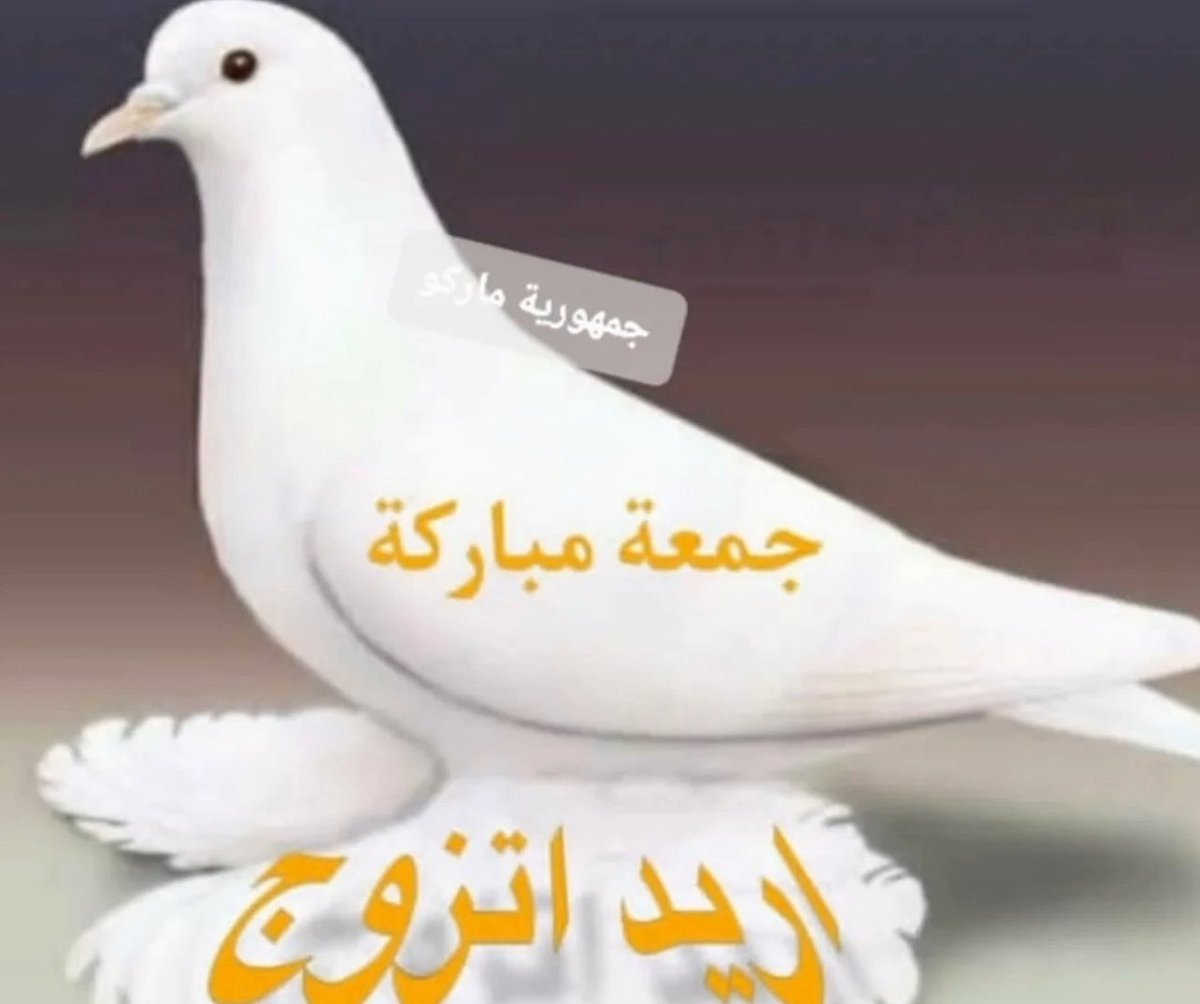 QueenSisi42's tweet photo. https://t.co/I7oTw8i3p8