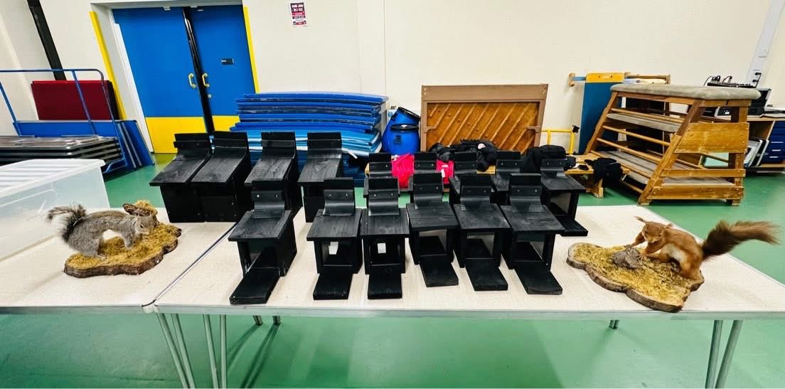 Cramlington & District Red Squirrel Group tweet media