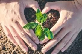 Cramlington & District Red Squirrel Group tweet media