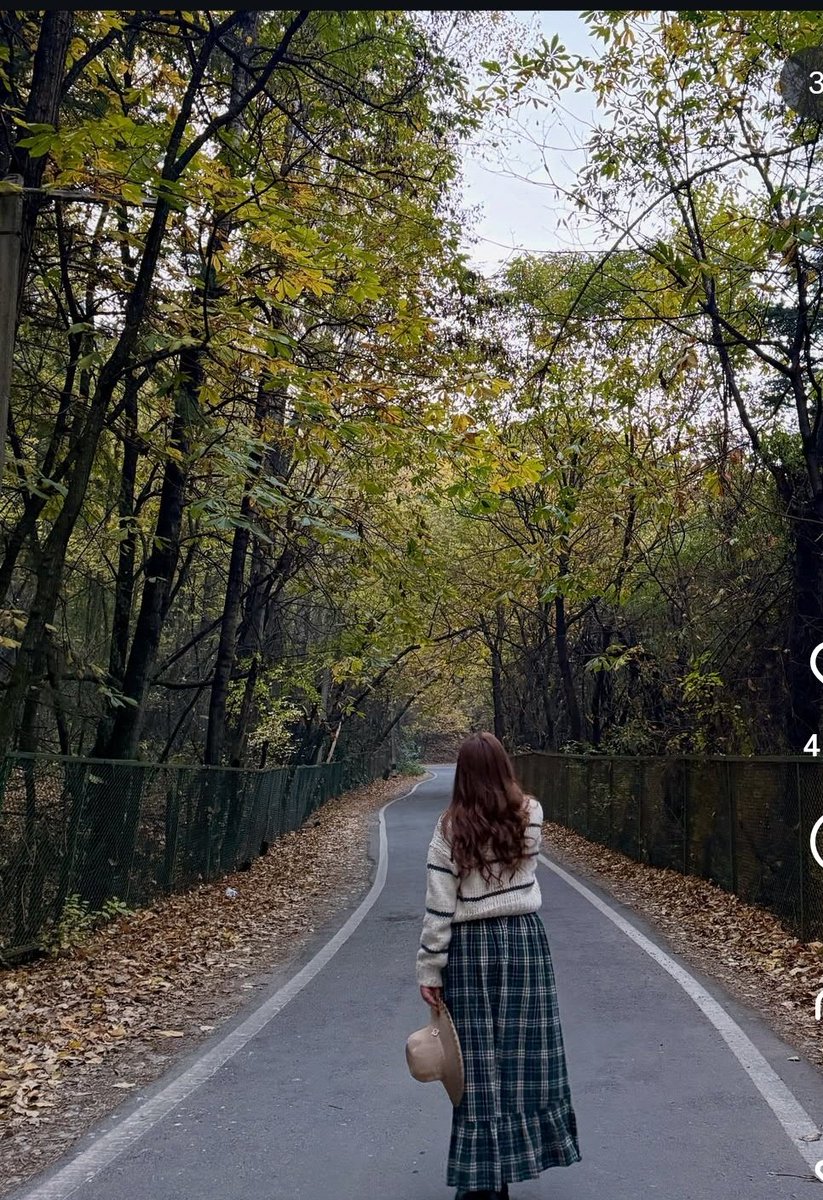 Faiz1906's tweet image. Today I walked 6 km through the fading autumn of Kashmir—
every step wrapped in golden stillness and soft goodbyes.

Good evening!!!