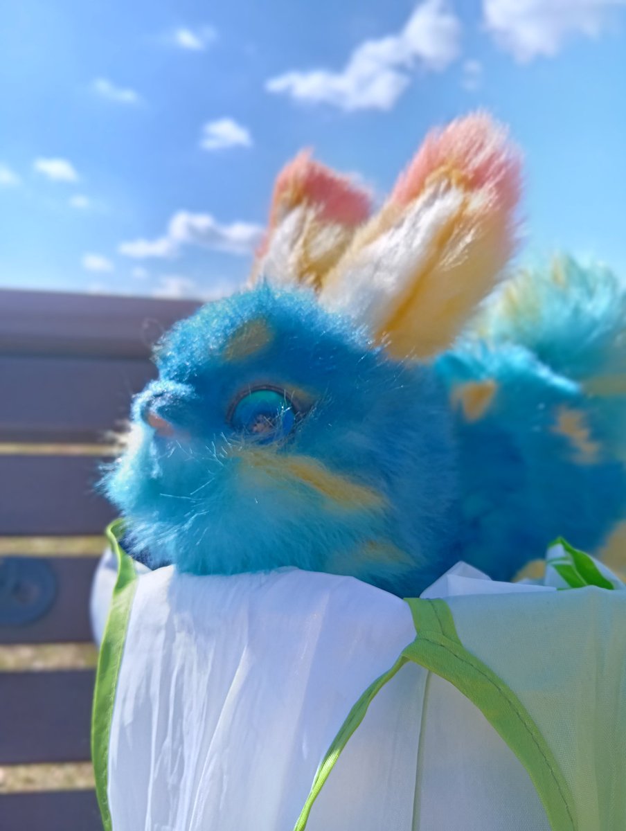 Teritre Doll/テリトルドール (@teritre_doll) / Highlights / X