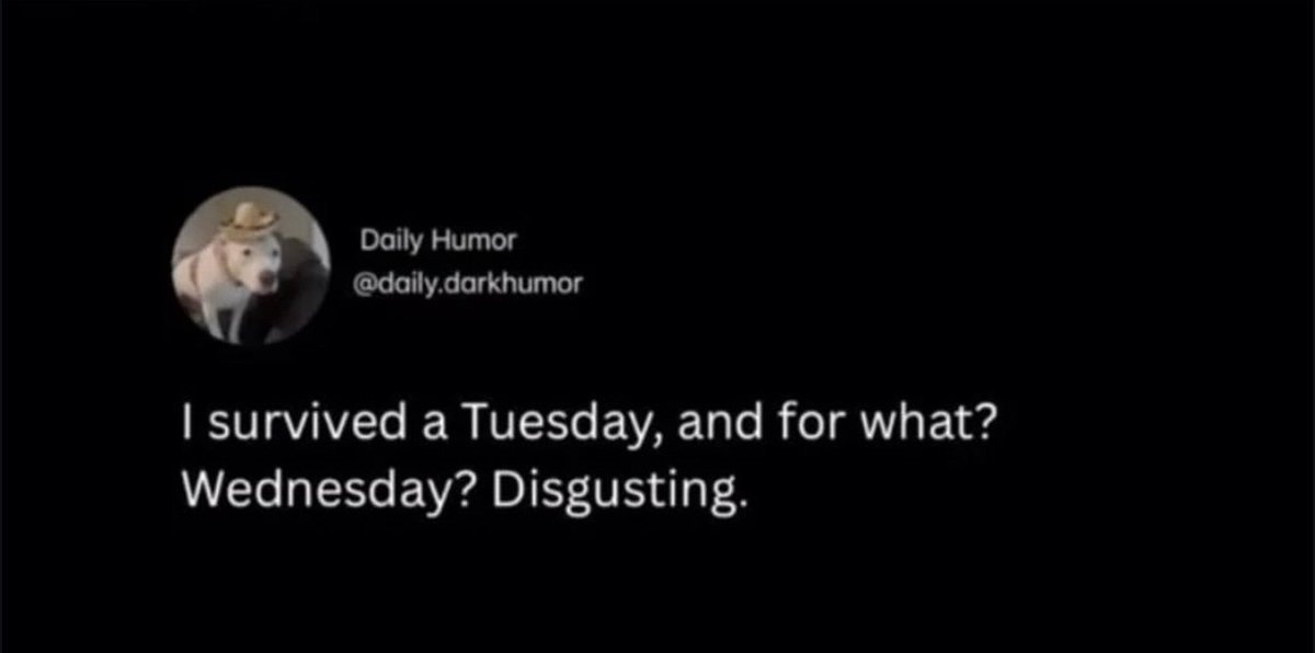 ThatEricAlper's tweet image. 