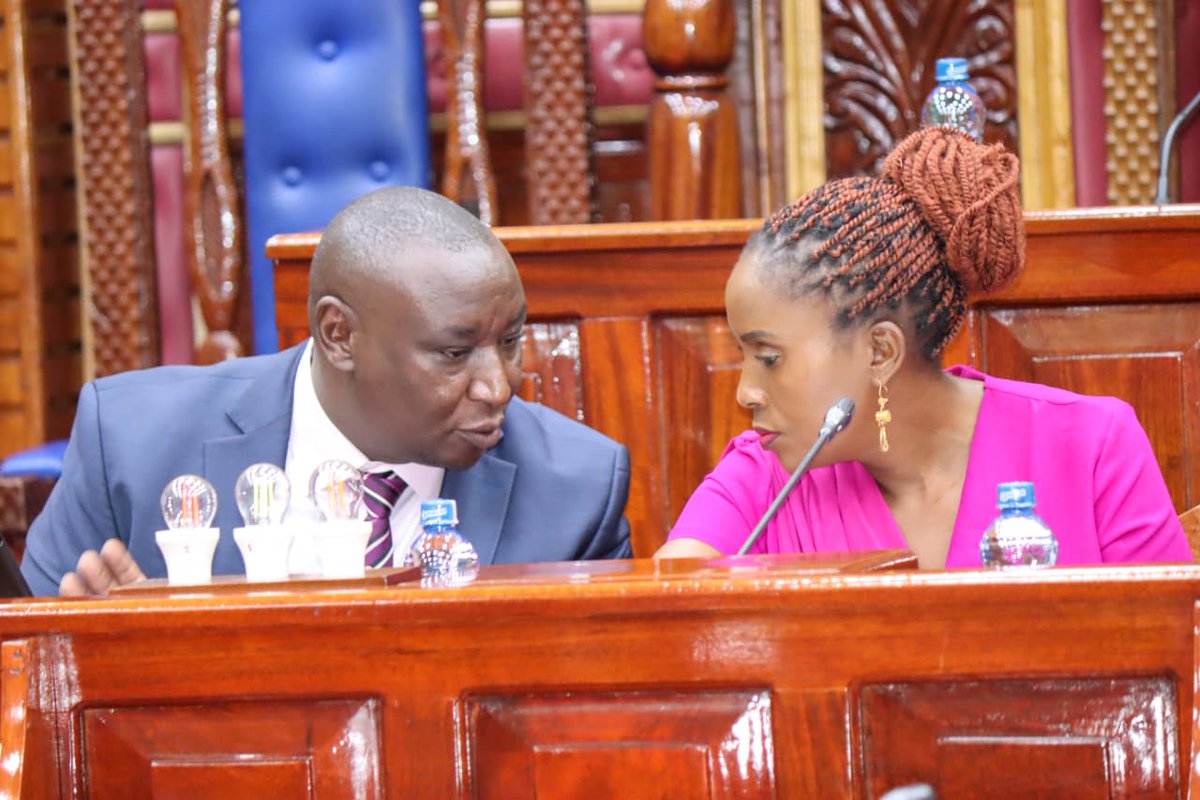 On November 13, 2025, the Inclusive Legislatures for Gender-Responsive Policies (ILGRP) Project, funded by <a href="/CanadaDev/">Development Canada</a> and implemented by <a href="/AcepaAfrica/">African Centre for Parliamentary Affairs (ACEPA)</a> in partnership with the <a href="/parlcent/">Parliamentary Centre | Le Centre parlementaire</a>, held an engagement with the National Assembly Departmental Committee on Social Protection.