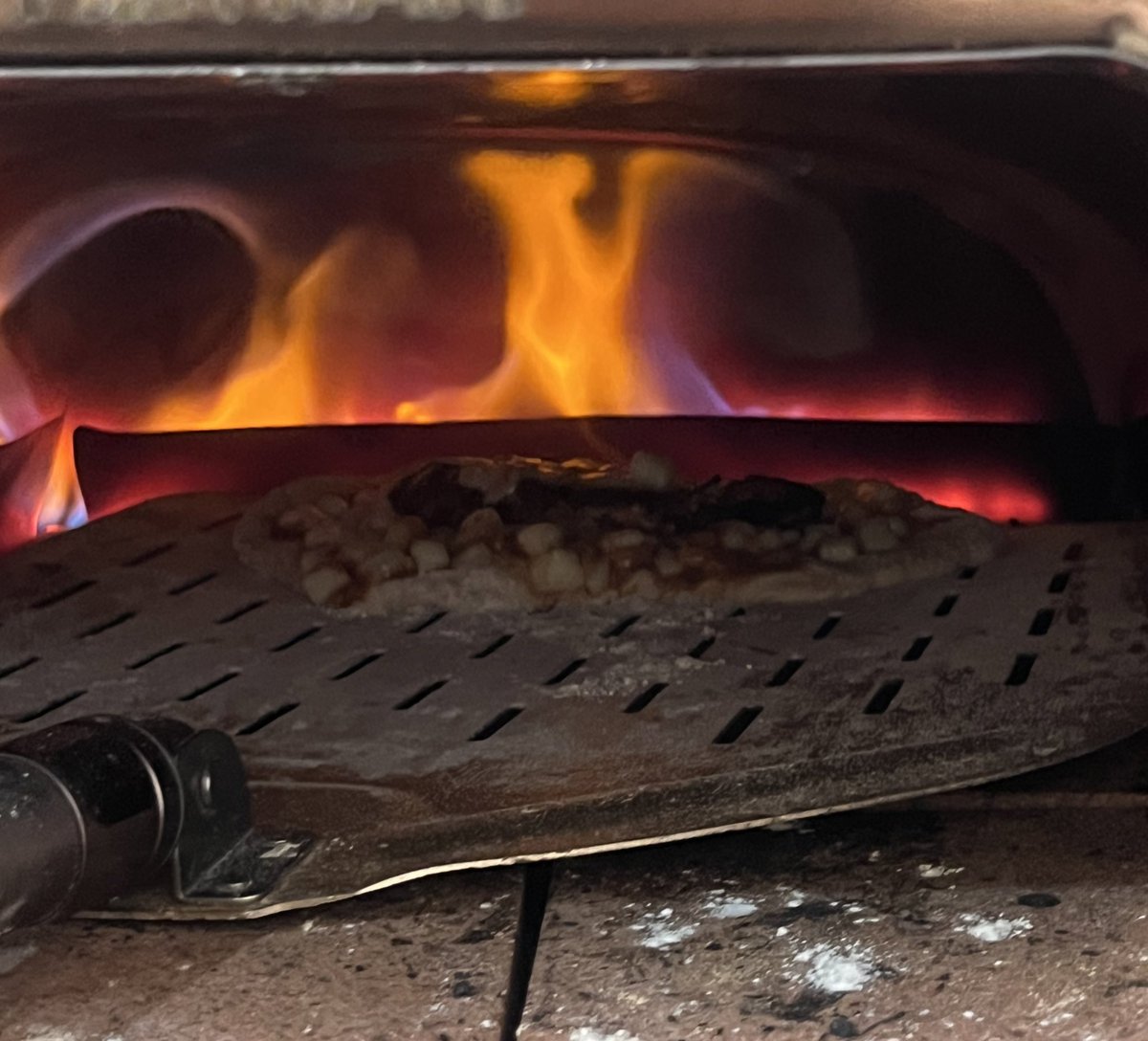 حالا راه تو دوره؛ دل من که صبوره…