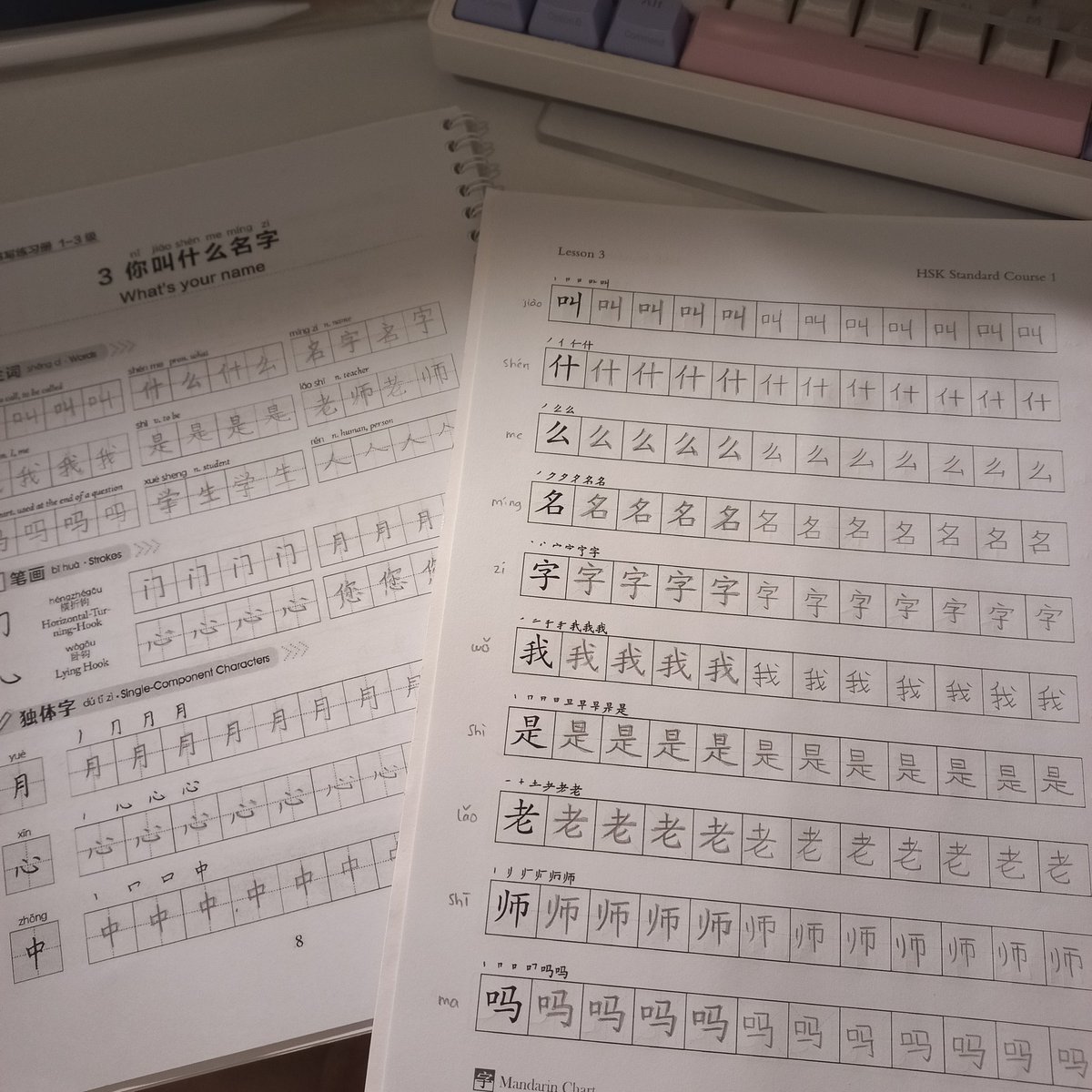 _whoopziie's tweet image. day 3 of #100daysoflanguagelearning 

- working on workbook chapters 5-8
- working on character book chapter 3

can&apos;t achieve today&apos;s goal bcs i&apos;m tired already :&apos;) #studytwt #langtwt