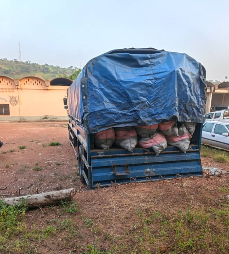 GhPoliceService's tweet image. PRESS RELEASE:

POLICE DESTROYED SIX HUNDRED (600) SACKS OF NARCOTIC DRUG (INDIAN HEMP) IN HO