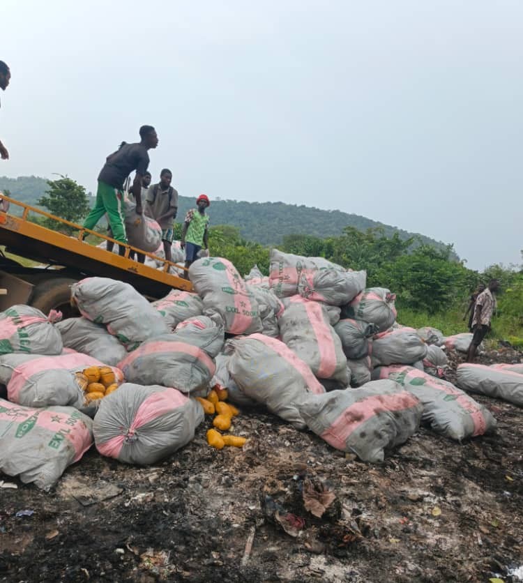 GhPoliceService's tweet image. PRESS RELEASE:

POLICE DESTROYED SIX HUNDRED (600) SACKS OF NARCOTIC DRUG (INDIAN HEMP) IN HO