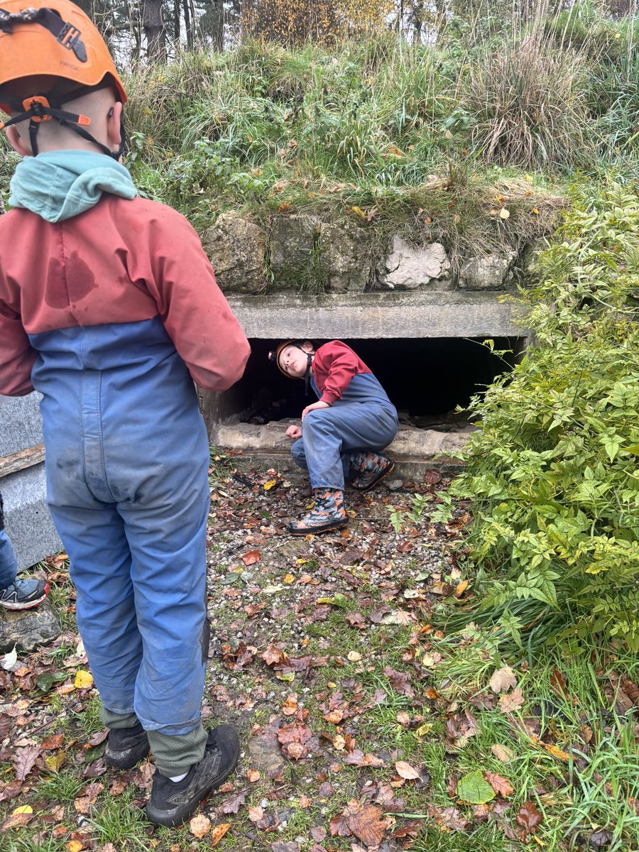 Hallgate Primary (@hallgatepri) on Twitter photo 