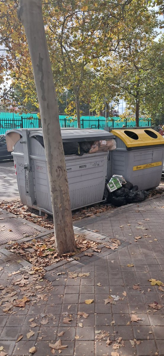VOX_leganes's tweet image. 🍁Las hojas sin barrer
🚮La basura sin recoger
☢️Los contenedores a rebosar
♻️El recicjale sin funcionar

❌️ Da igual el día o la hora, con contrata nueva o vieja: ni con 4M€ más.

❌️Ni #GANAS del PP
❌️Ni #HECHOS de Uleg

✅️ Sólo #MadridSurEnPie!

#SóloQuedaVOX💪🇪🇦