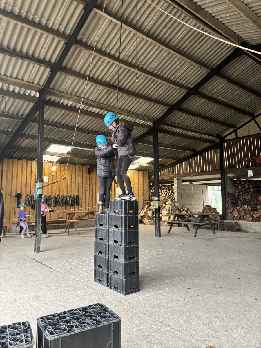 Hallgate Primary tweet media