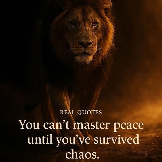 Good morning 𝕏. 🙏