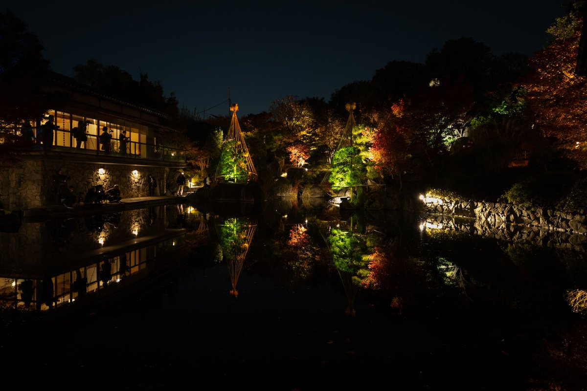 目白庭園 庭園の紅葉ライトアップ
プレオープンカメラマンサービスデー

すみません、どっちかが一眼でどっちかがスマホなんですがデータが混ざってしまってわからないです・・・どちらも手持ちです。