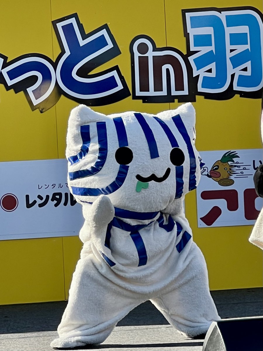 にゃーちゃ、いちぴきで #フルカラーさみっと にゃ😽💗 #はにゅはにゅ