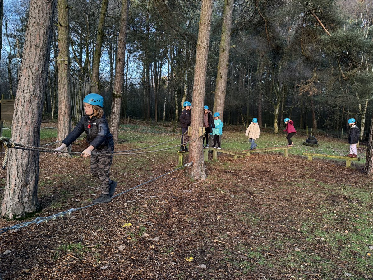 Hallgate Primary (@hallgatepri) on Twitter photo 