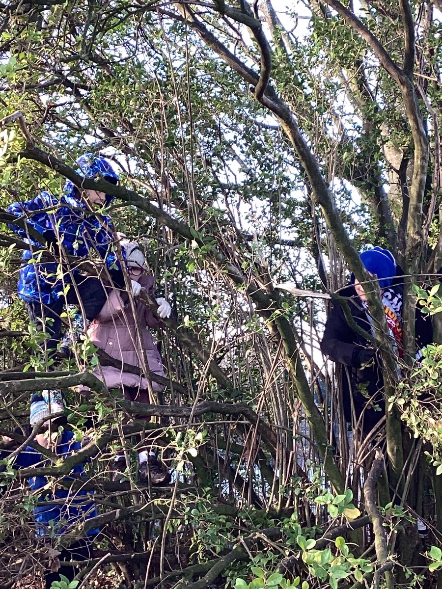 Watch out, there’s climbing Y3s about!