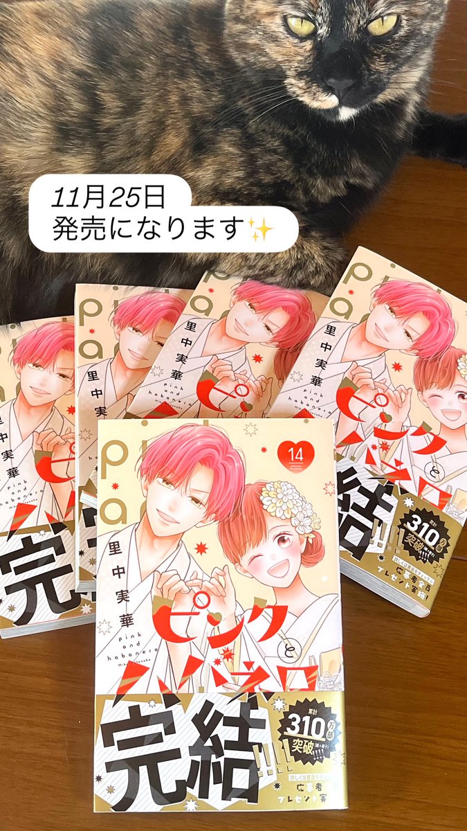 一足早く最終14巻が手元に届きました✨☺️25日に発売になります