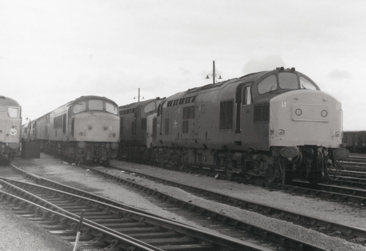 Saturday afternoon line up at Severn Tunnel Jcn shed with Stratford based 31108 far left, 6/2/82.