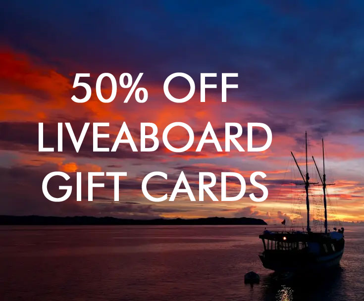 Fantastic black friday offer - HALF PRICE #scubadiving gift vouchers. Pay half, get full value - up to $200 tinyurl.com/50offDiving