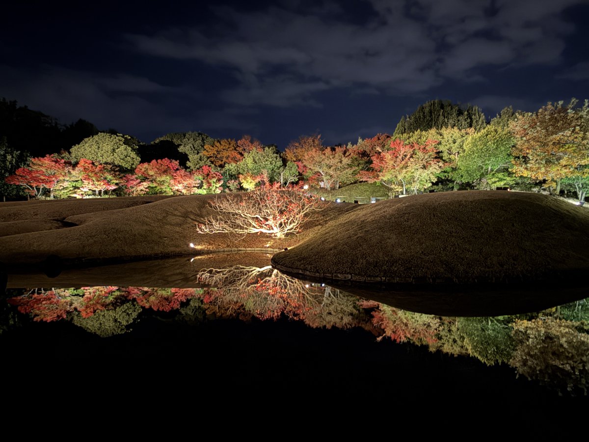 2sya_kfx's tweet photo. 京都でライトアップ巡りしてました。
・梅小路公園の、朱雀の庭
・東寺
・青蓮院門跡 https://t.co/GCYBgELpd6