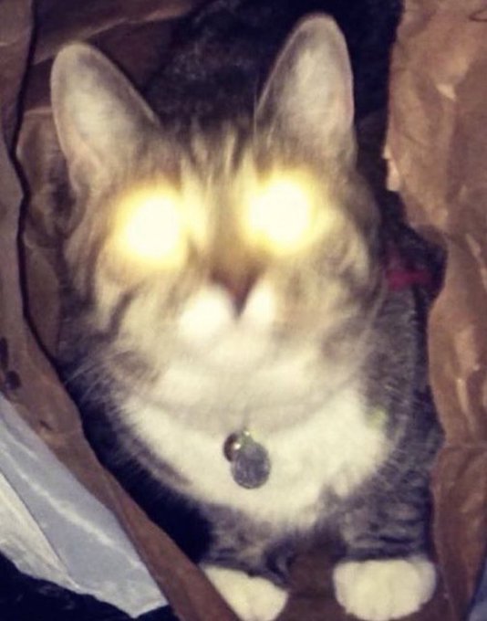 JMRG65's tweet image. We’re Working 🏐n Him …
… 🇺🇸⚔️🇻🇦
… ❤️🙏🏻🌹
… 🕶️🚬