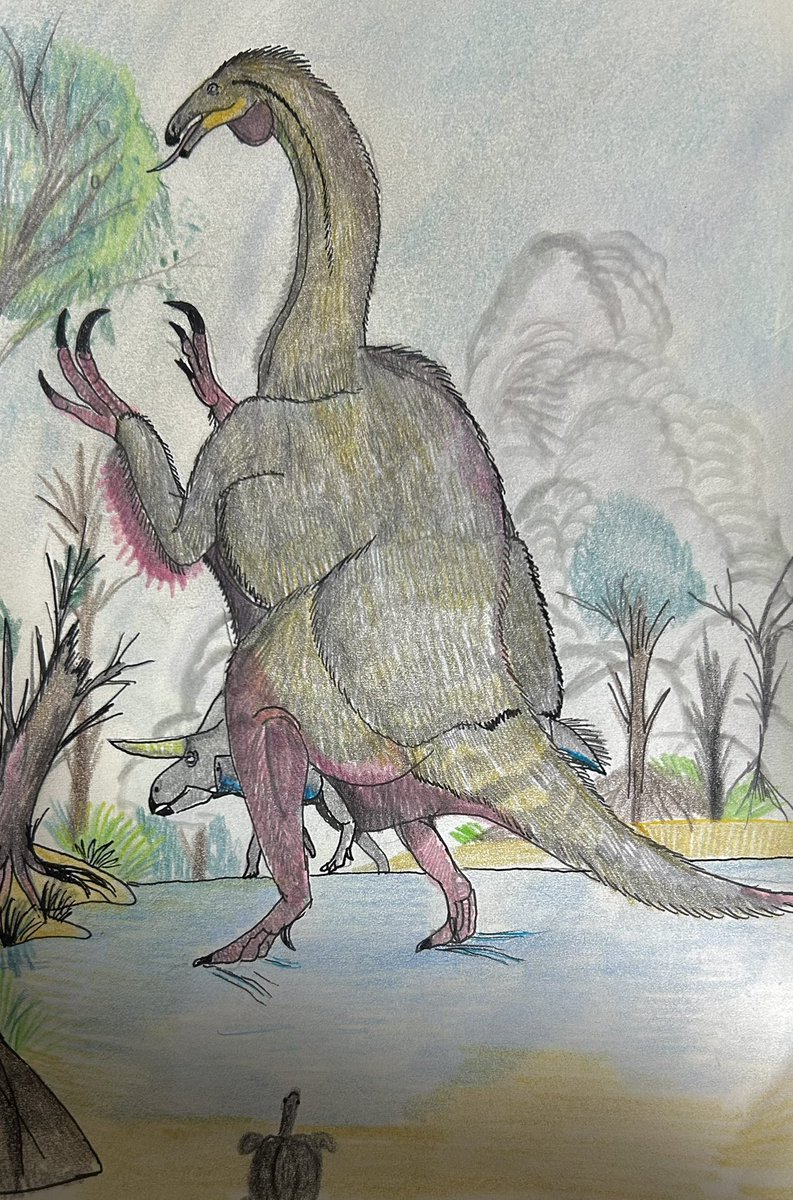 今日のお絵描き
高いところの植物を食べる #ノトロニクス
彼らの骨盤を改めて見ると胴体がかなり太いことが分かったので、その中にある長い腸をつかって消化吸収をしていたということを表しています！
#Nothronychus
#Zuniceratops