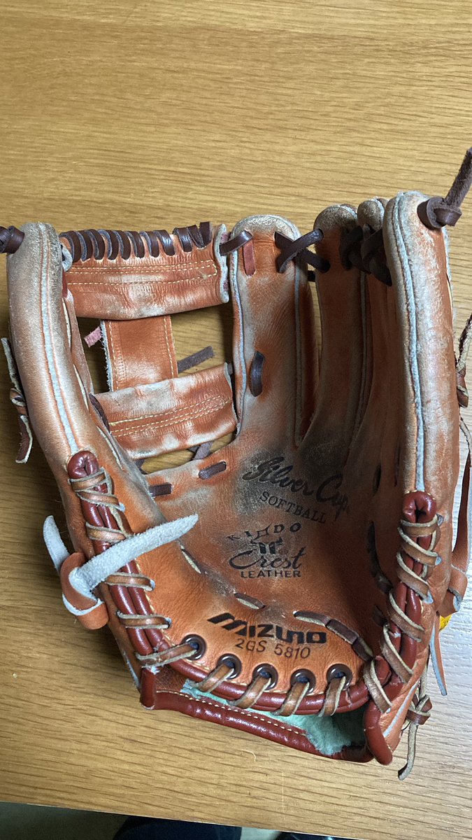 極楽鳥オーダーミット②成人 極楽鳥オーダーミット②成人