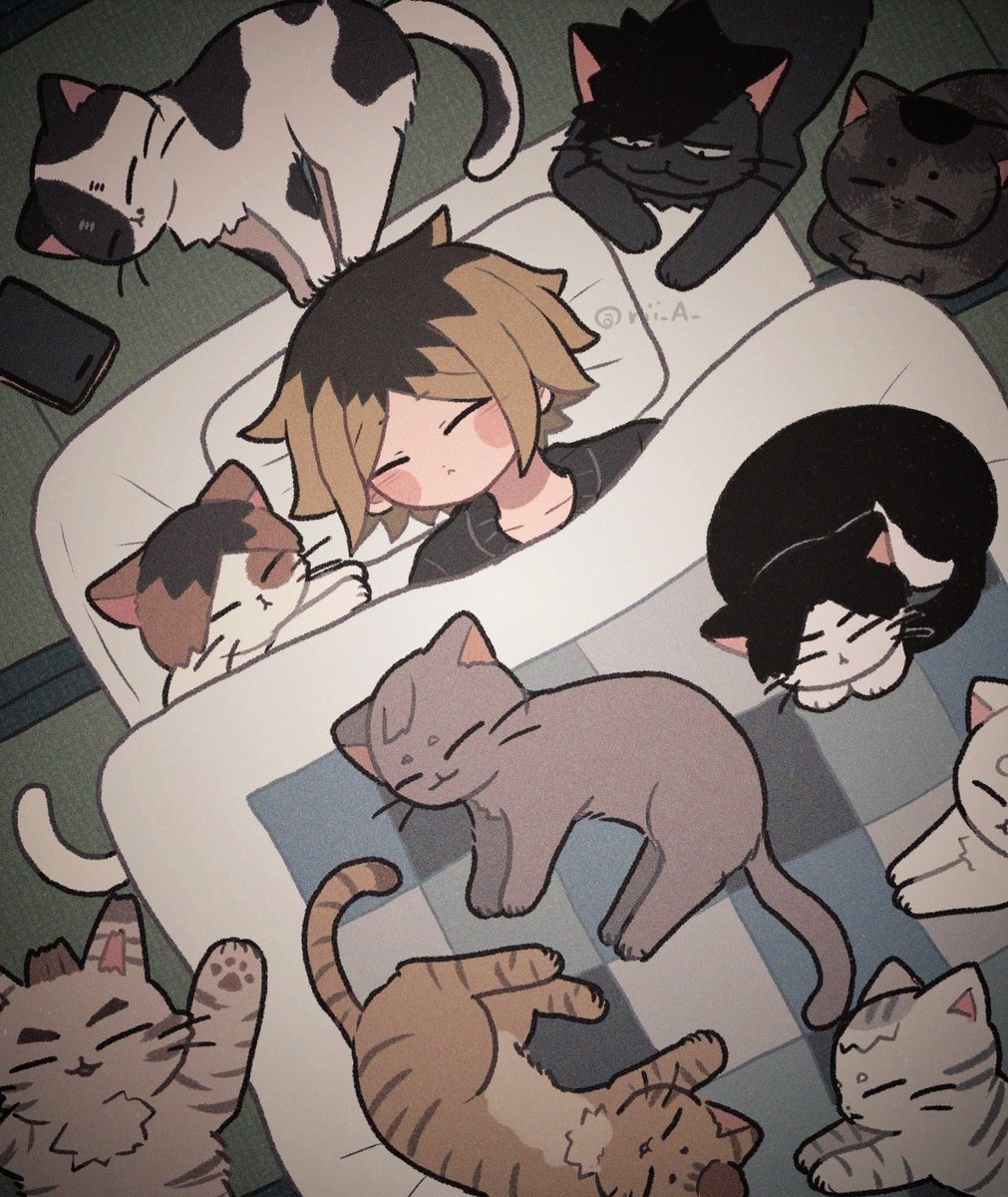 rii_A_'s tweet photo. 🐈💤 https://t.co/89EmFUt2vc