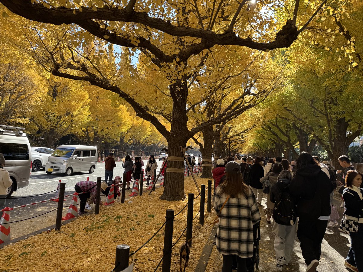 ひじり@さくら鯖 tweet media