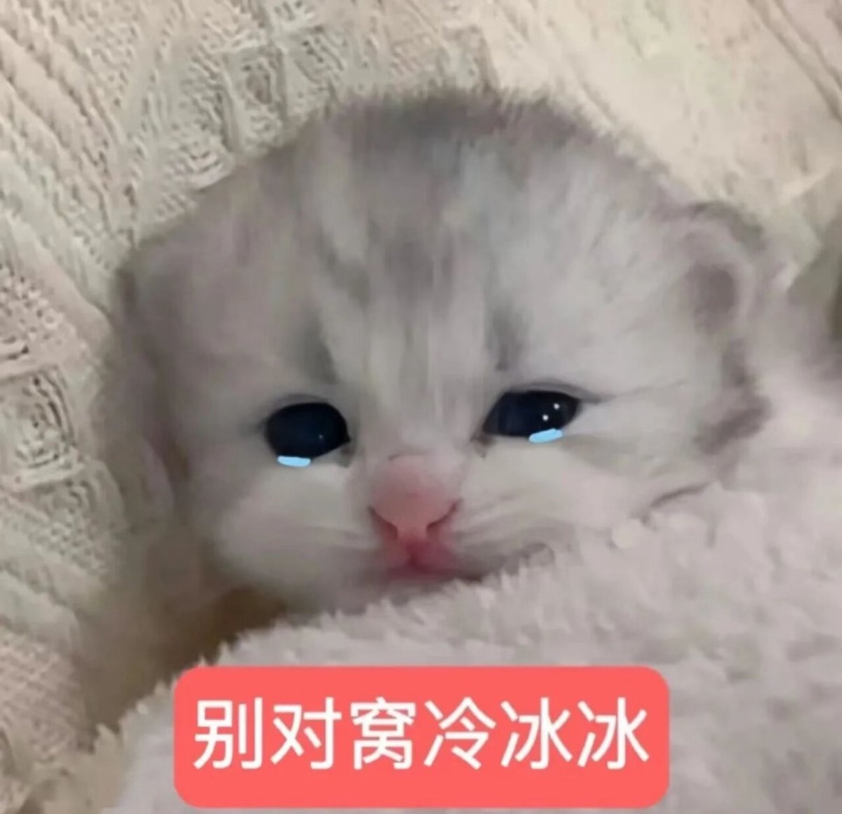 黄推福利内容 - 音酱宝宝的精彩图片 福利姬音酱宝宝分享的黄推图片1 - 网红私拍内容