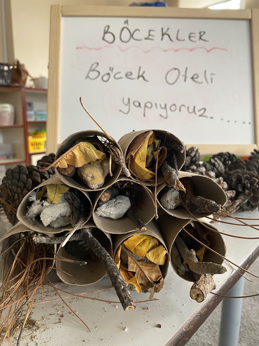 BurdurNene's tweet photo. Üç Katlı BÖCEK OTELİ…
Doğayı keşfederken büyük heyecan yaşayan çocuklarımız,topladıkları böcekleri okulda artık materyallerden tasarladıkları üç katlı“Böcek Oteli”ne yerleştirdi. Doğayı koruma bilinci en önemli değerimiz… 
@TBBilgihan @necmidinc @cennet_karabuga https://t.co/GDoyJ96YKT