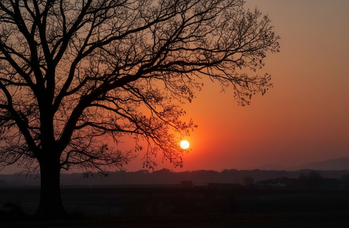 जीवन साधारण यात्रा नहीं, बल्कि अनुभवों की किताब है हर पन्ना कुछ नया सिखाता और सुकून देता है 🌿 कुछ पन्ने खुशियों से भरे, कुछ चुनौतियों की कहानियाँ… पर हर एक पन्ना हमें मजबूत और समझदार बनाता है 💛

गलतियाँ हों या असफलताएँ, ये अनुभव हमें आगे बढ़ाते हैं और हर नया दिन एक नया पन्ना
