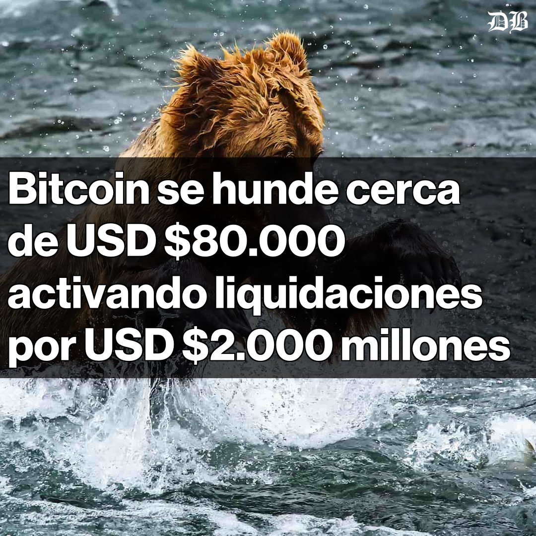 🚨 Bitcoin se hunde a USD $81.868 🚨 Liquidaciones en el mercado alcanzan  los USD $2.020 millones en 24 horas. Más de 400.000 operadores afectados,  con un 90% en posiciones largas. Bitcoin