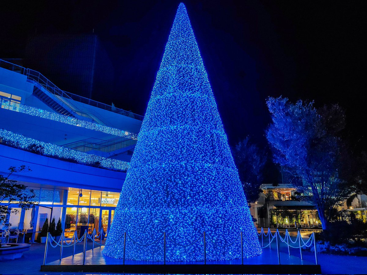 今日は前の職場の方から連絡があって久しぶりに近況話をしました📞前の職場の皆さんの様子を聞けて元気そうにされてて安心しました😄私も頑張っていることを伝えてお互いに身体に気をつけていきましょう～と話しました。

早いものでクリスマスイルミネーションが始まりだしました✨やっぱ綺麗ですね～