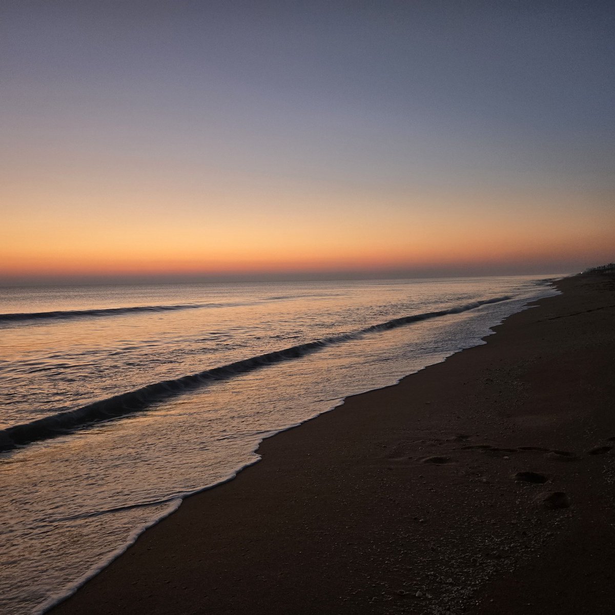 AccessArchitect's tweet image. 