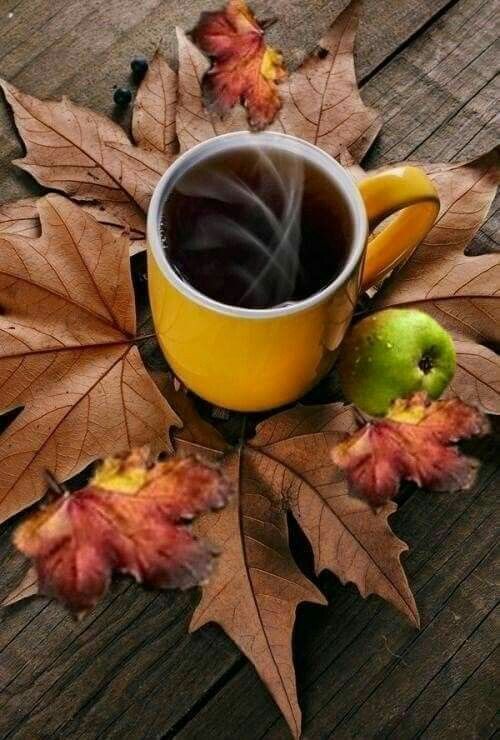 sobore's tweet image. Good Morning! The #coffee is ready!