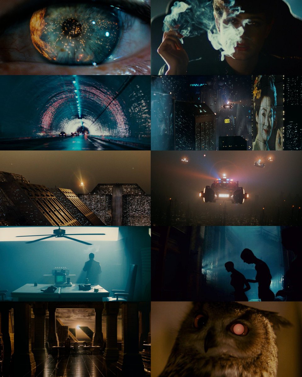 SitoCinema's tweet photo. Blade Runner es una de las películas que mejor ha envejecido, que nos ha dado el cine. https://t.co/3wujZWLkN9