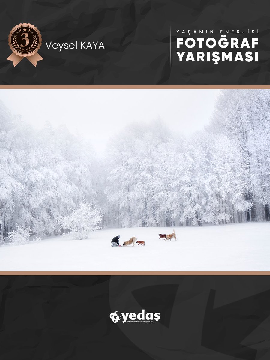 Yaşamın Enerjisi Fotoğraf Yarışması Sonuçları Belli Oldu!

Derece Giren İsimler:
🥇Orhan Tanhan
🥈Serap Ünal
🥉Veysel Kaya

Mansiyon Ödülü Alan İsimler:
🔵Fatih Mehmet Özdemir
🔵Saim Çakar
🔵Mehmet Yılmaz

Yaşamın enerjisini tek bir kareye sığdırıp dereceye giren isimleri tebrik