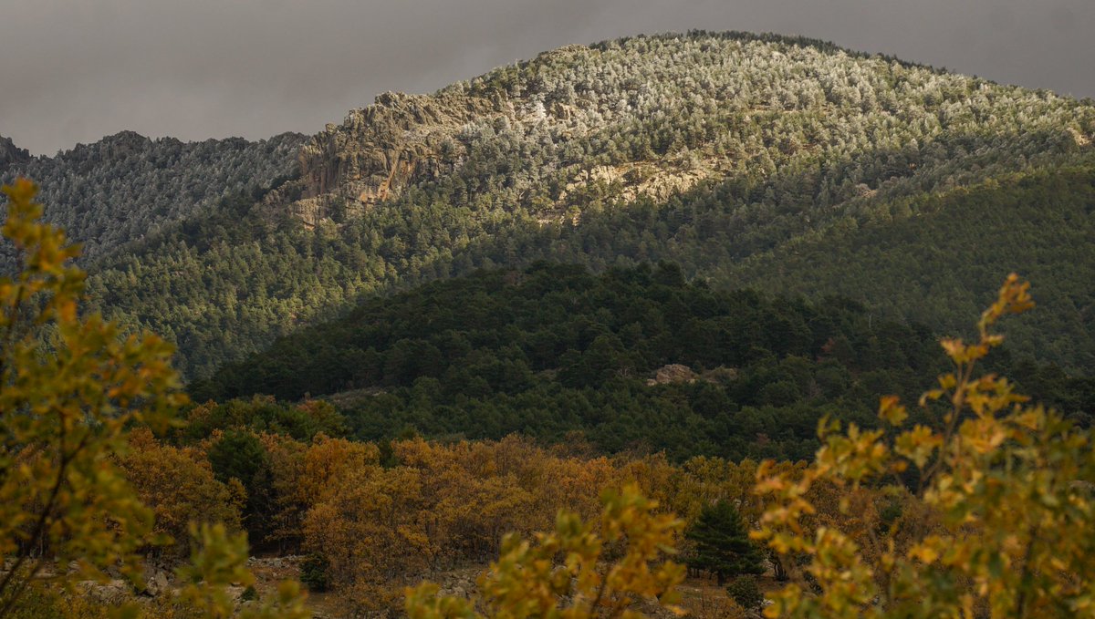 Cencellada, nubes pegadas a las cumbres, viento del norte y mucho frío en zonas altas del Guadarrama
