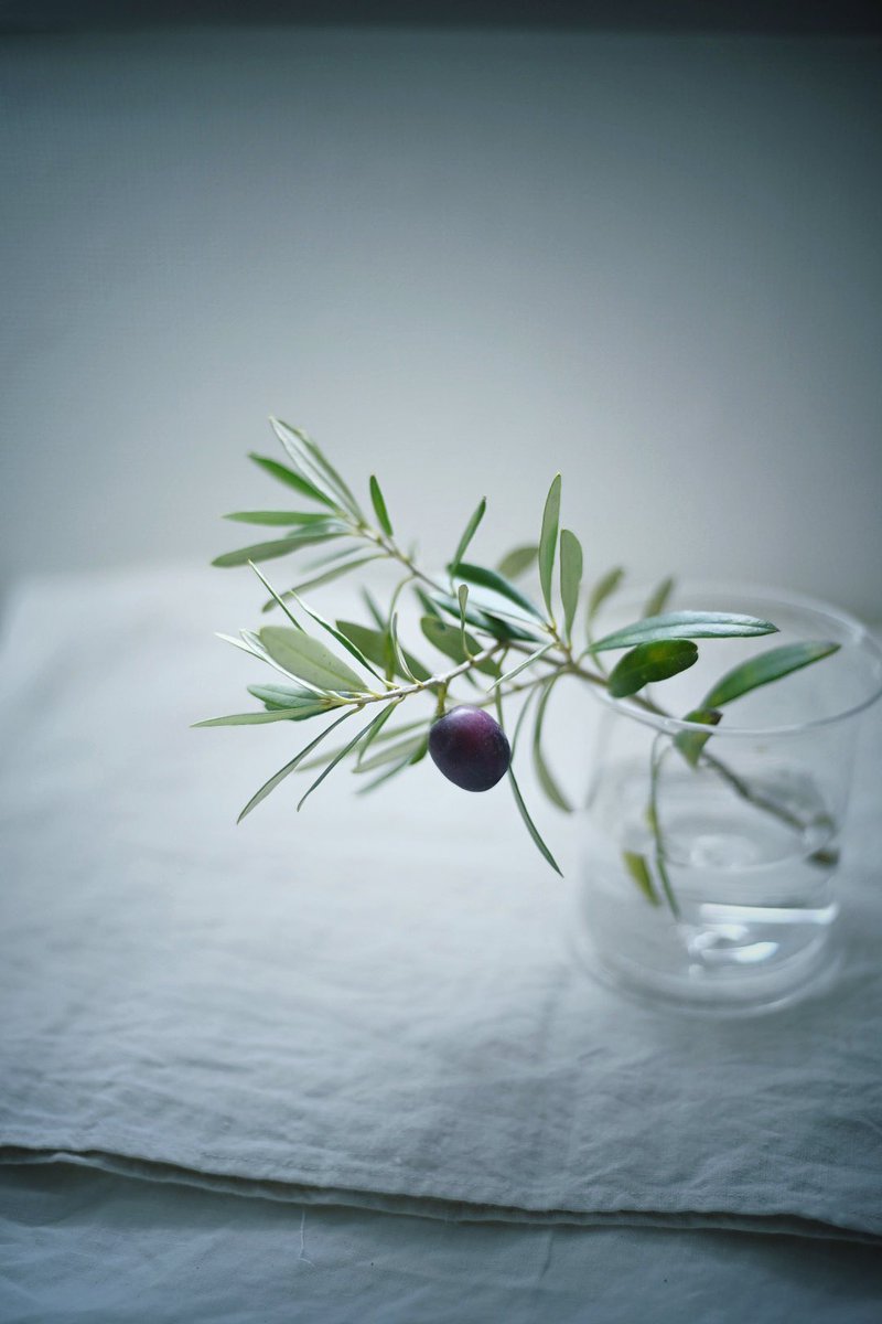keinoGlass's tweet image. 鉢植えのオリーブの実。
楽しみにしていたけれど
いつの間にか一つになっていた。