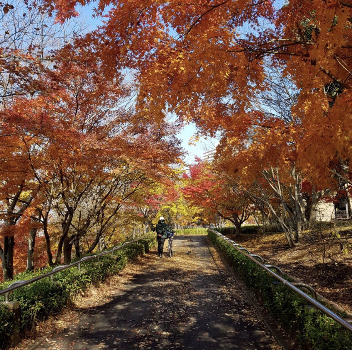 髙𣘺ピョン太 (@pyonta) / Posts / X