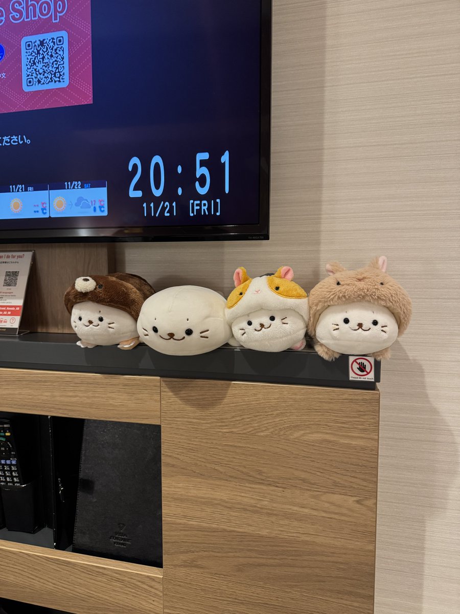 orusan_'s tweet image. 絶対に普通の一人部屋予約したんだが
#しろたん #shirotan