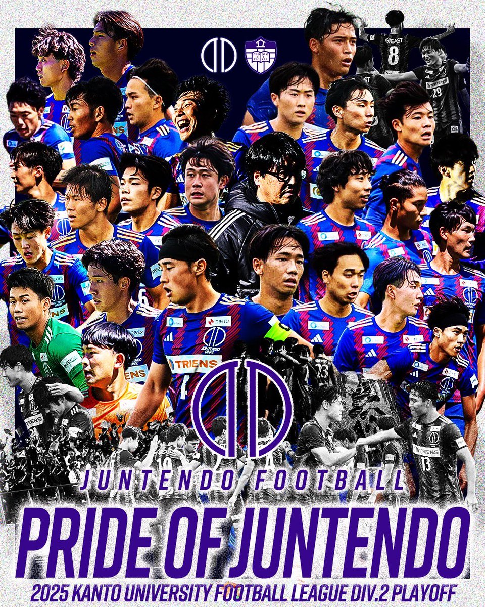 帝京高校 全国優勝エンブレム 帝京高校 全国優勝エンブレム 帝京高校