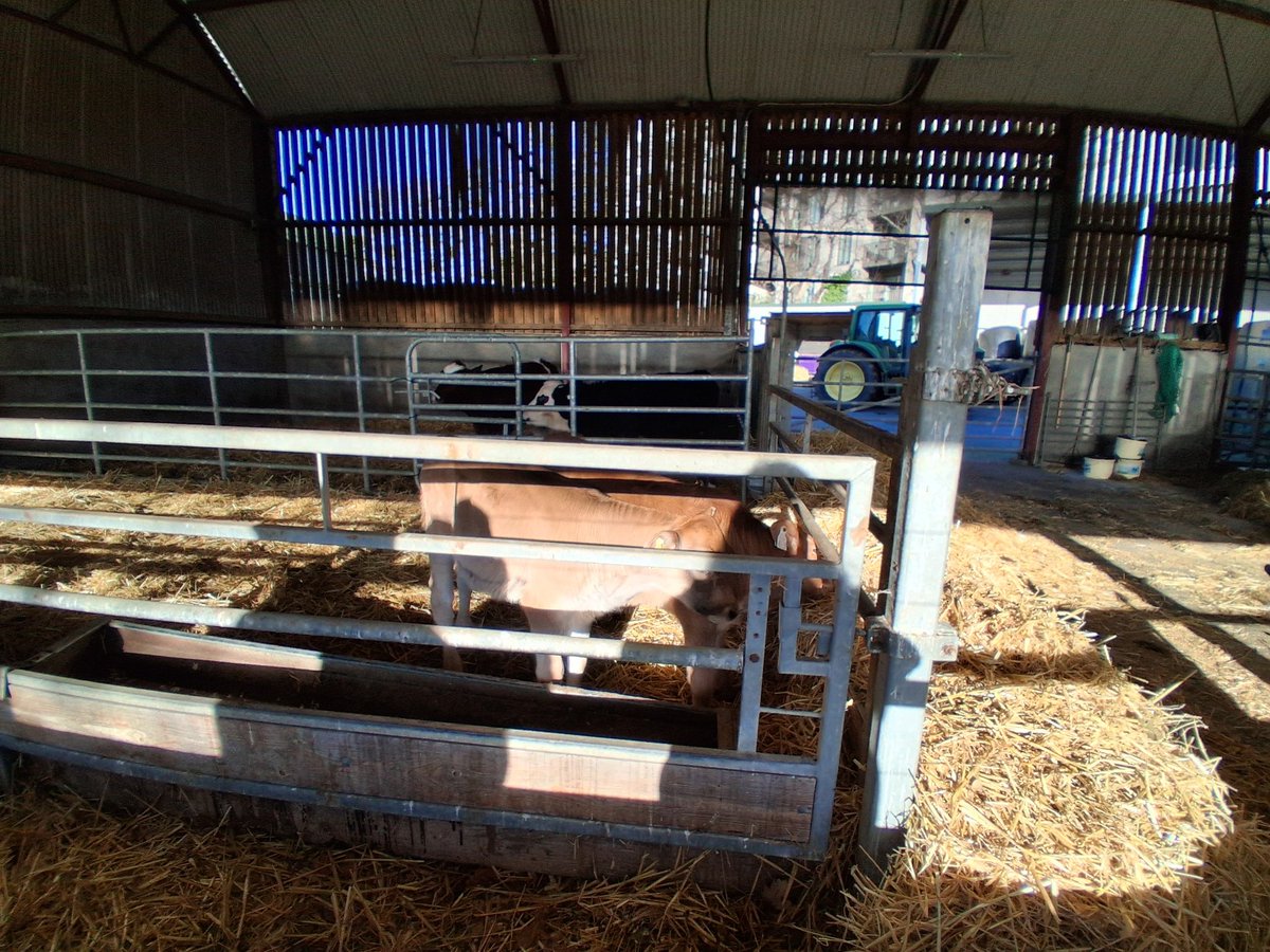 OPW-Maynooth University Archive & Research Centre tweet media