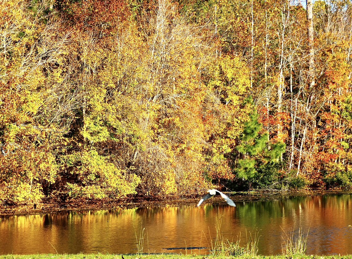 Happy Friday! 🍁 #SunsetBeach <a href="/EdPiotrowski/">Ed Piotrowski</a> <a href="/medwick/">Gannon Medwick</a> <a href="/DylanHudlerWXII/">Dylan Hudler</a> <a href="/jamiearnoldWMBF/">Jamie Arnold WMBF</a> <a href="/LeeHaywoodWX/">Lee Haywood</a> <a href="/dogwoodblooms/">Cassie Clark</a> <a href="/marioncaldwx/">Marion Caldwell</a> <a href="/JustinMcKeeWx/">Justin McKee</a> <a href="/StarboardRail/">The Starboard Rail</a> <a href="/ThePhotoHour/">#ThePhotoHour</a> <a href="/Christina4casts/">Christina Anthony</a> <a href="/CMorganWX/">Christian Morgan</a> <a href="/AndrewWMBF/">Andrew Dockery</a> <a href="/ScottyPowellWX/">Scotty Powell</a> <a href="/jgreenhillwx/">Jenna Greenhill</a> <a href="/TimBuckleyWX/">Tim Buckley</a> <a href="/matt_wx/">Meteorologist Matt Bullock</a> <a href="/clairefrywx/">Claire Fry</a>