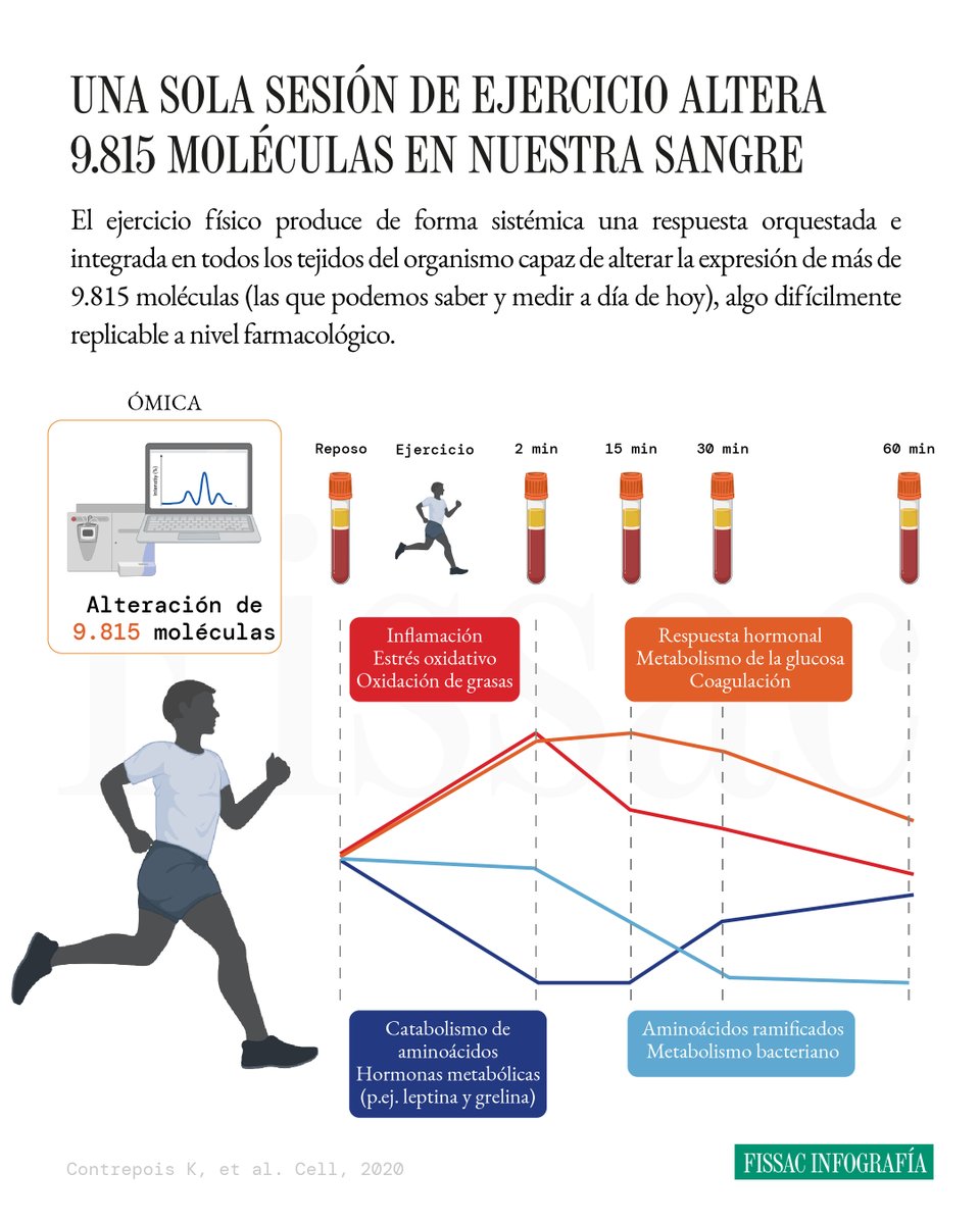Ejercicio físico, una coreografía molecular. Por qué no se pueden imitar sus efectos.

🎼 Cuando hacemos ejercicio, se desencadena una coreografía biológica capaz de alterar más de 9.000 moléculas.

Debido al enorme impacto que tiene sobre prácticamente todos los tejidos del