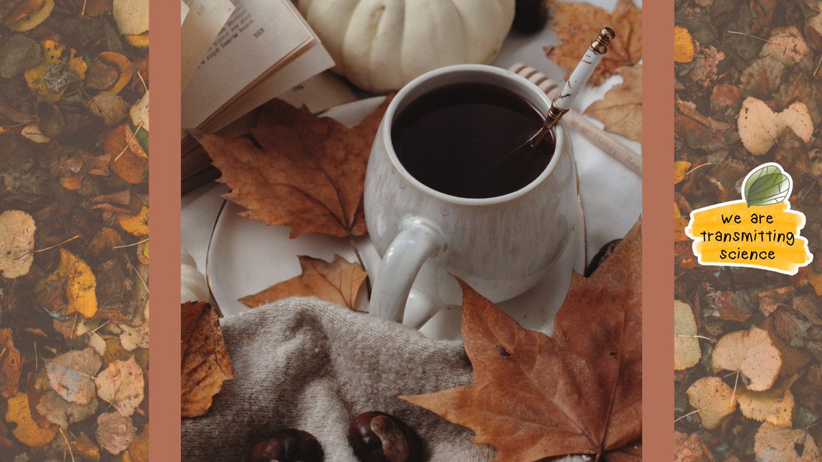 TransmitScience's tweet image. Sometimes the best part of a research day is the pause—a warm mug between hands, notes scattered, a quiet moment before new thoughts form.

What do you do during your break on a busy day?

#WeareTransmittingScience #AcademicWellbeing #ScienceAndSeasons #SimpleJoys 🍁☕📖