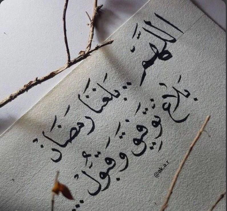 تهاني ام فاطمه 🇸🇦 tweet media