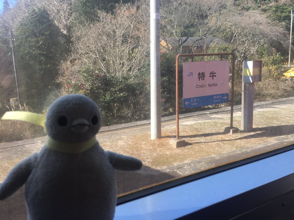 ☆ペンギン☆ (@penguin00000001) / Posts / X