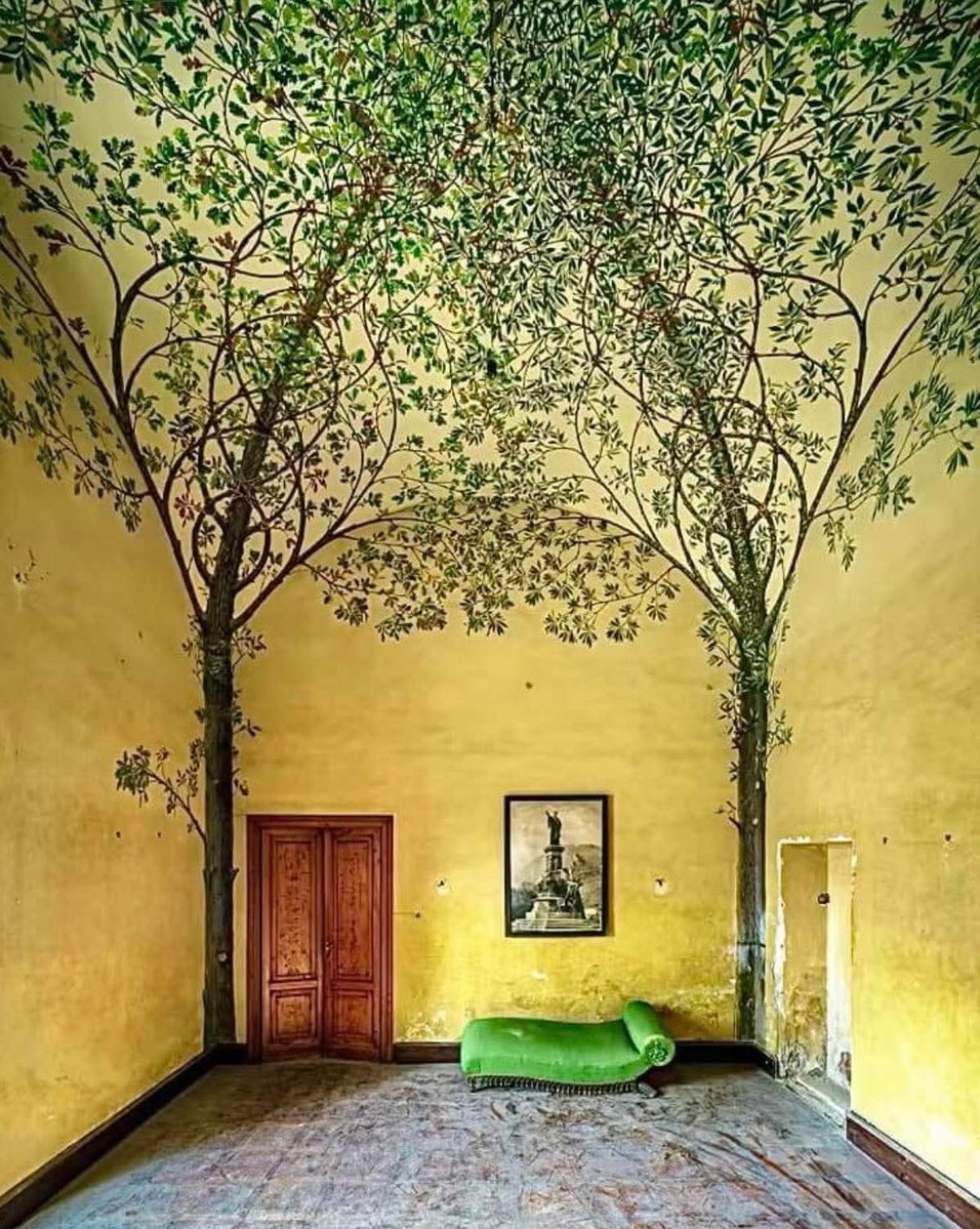 BiancoDavinci's tweet image. A fresco with tree crowns extends throughout the ceiling of a forsaken palace near Siena, Tuscany, Italy, 1870-1900.
