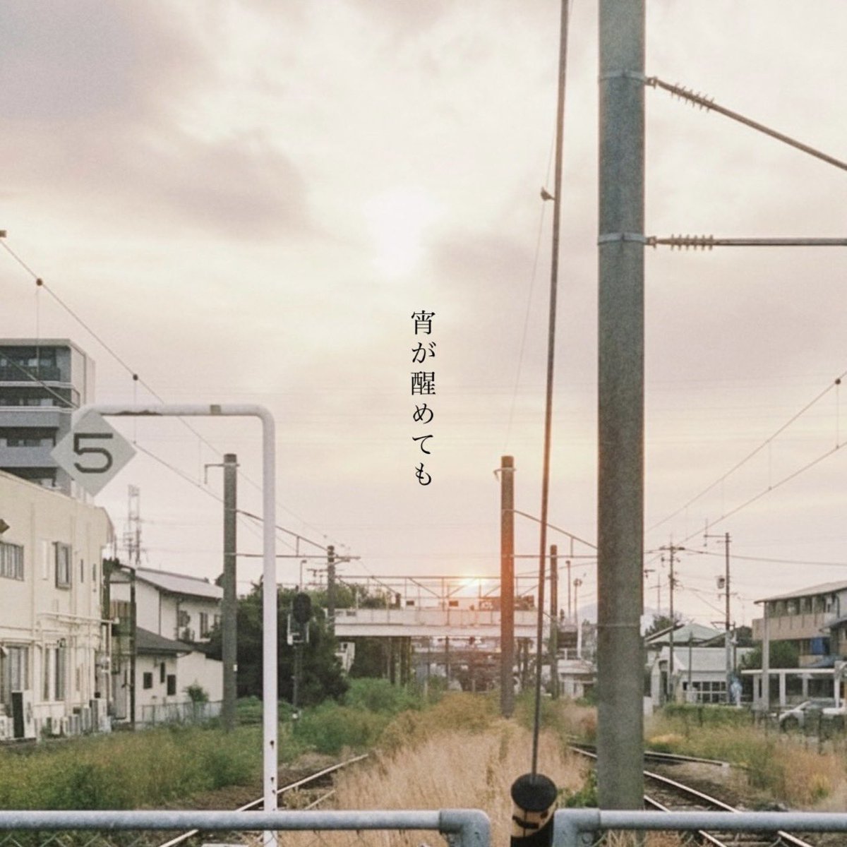 thechaos0426's tweet image. 【💿Eggs配信開始💿】

ザ•チャオス1st EP&quot;宵が醒めても&quot;より、

Track1「幕間の夜」

先行配信が開始されました🌉

リンクはこちら↓
eggs.mu/share?target=a…
#eggsmu